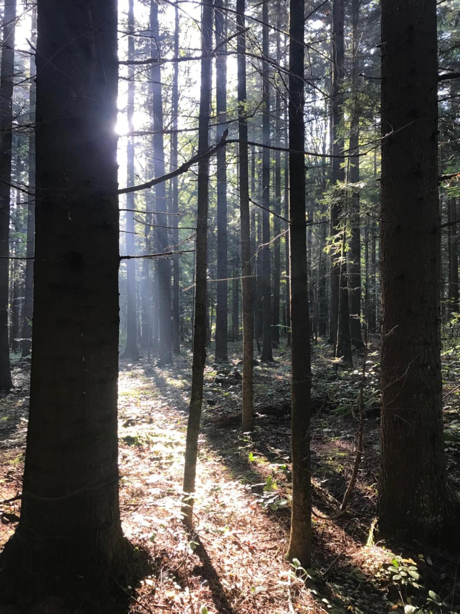 Zakatek Otel Wysowa-Zdrój Dış mekan fotoğraf